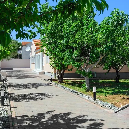 Pacis Benkovac