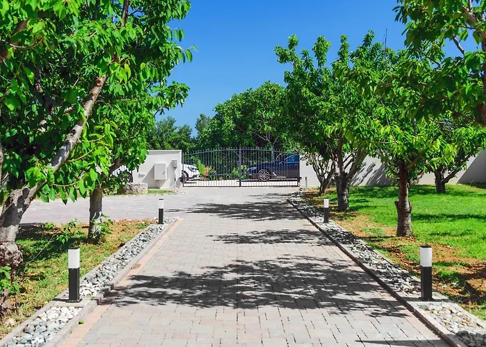 Pacis Бенковац