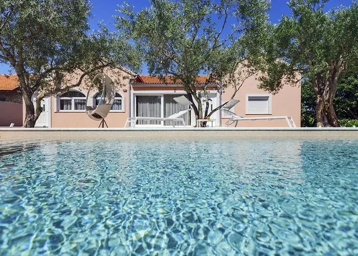 Pacis * Бенковац